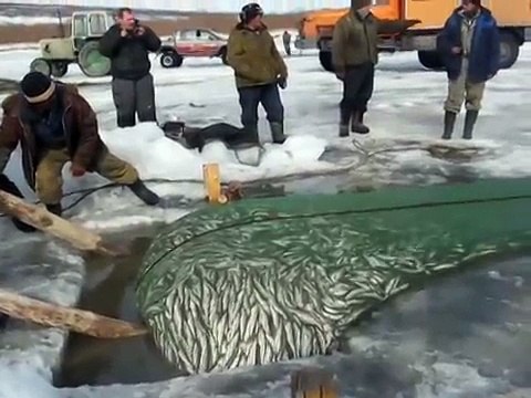 Так надо ловить рыбу