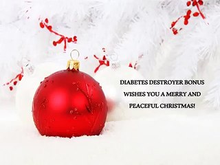 DIABETES DESTROYER BONUS CHRISTMAS CARD