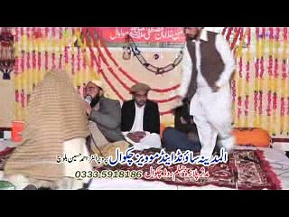 Naat Qari  Muhammad Umer Chisti Millad E Mustafa 2016 Conference Moolwal