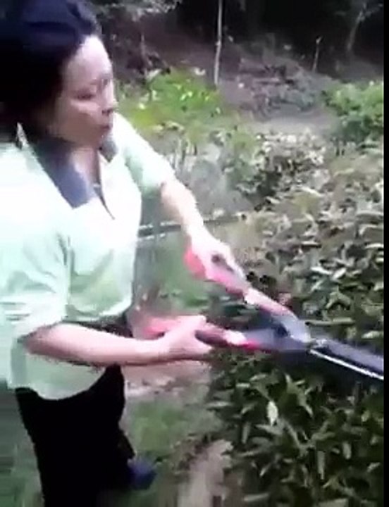 Cette femme trouve un nid plein d'oisillons... et décide de les manger!