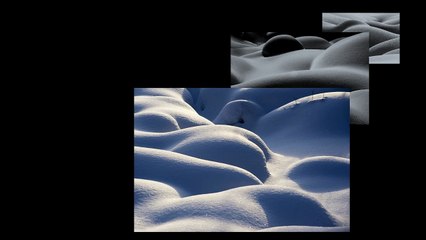 Курьезы природы