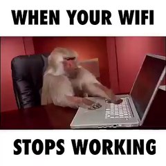 When Your Wifi Stop Working