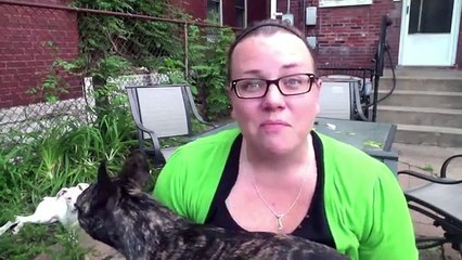 The 21 Day Sugar Detox Program Review