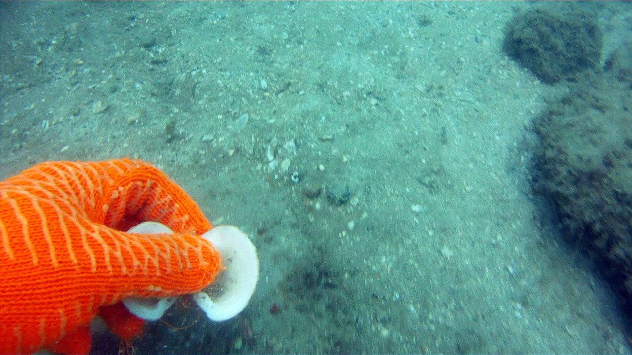 Mares, Ubatuba, SP, Brasil, Marcelo Ambrogi, 2016