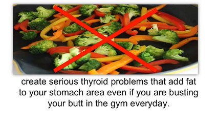 FAT DIMINISHER SYSTEM