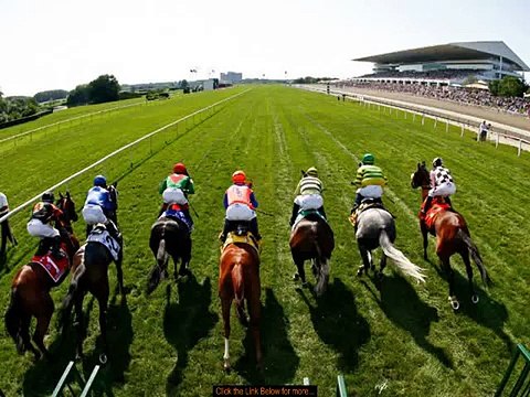 Horse Racing Betting Service Bet Alchemist