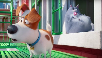 Mascotas - Trailer 2 español (HD)