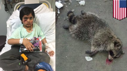 Hero neighbor beats rabid raccoon to death after it attacked 6-year old kid
