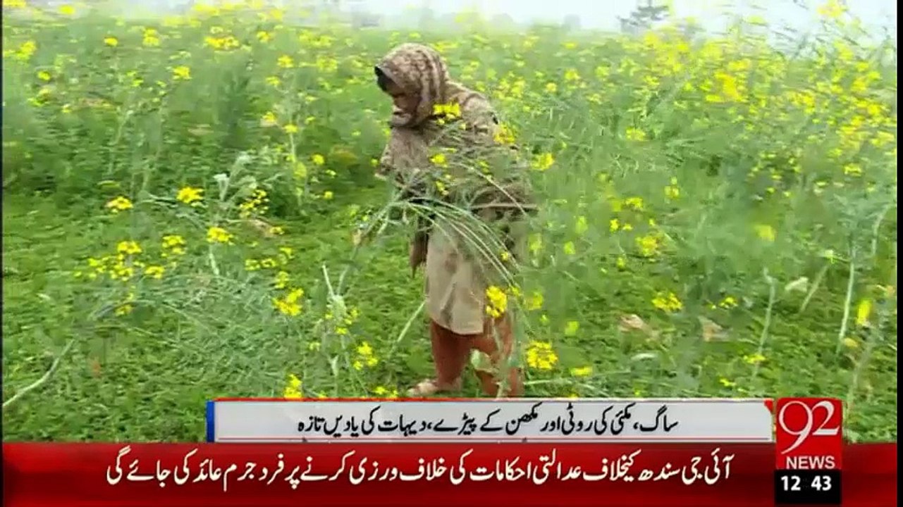 Mosam Ka Maza Dobala Kre Sagg Kay Sath-29-01-16-92News HD