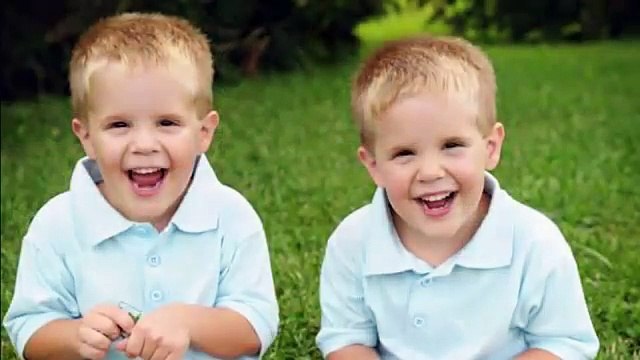 Best Binary Options Trading Signals & Forex Signals Software