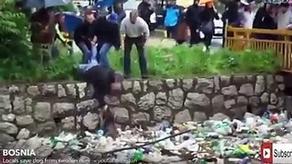 worlds most amazing movements 2016