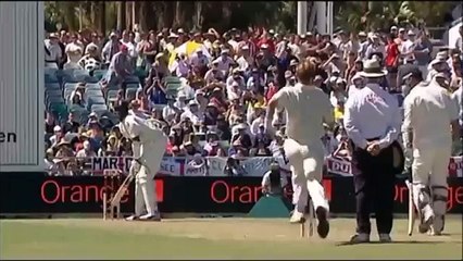 Brett Lee - Bouncers and Broken Bones