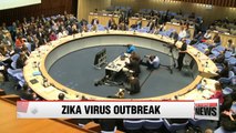 Zika virus spreading explosively and could infect 3M to 4M people in Americas: WHO