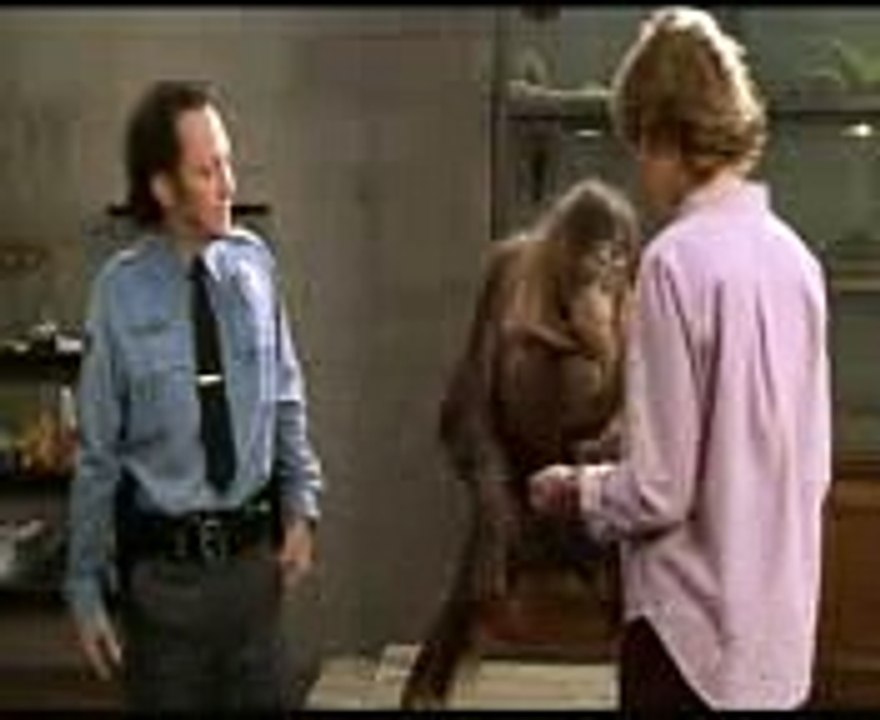 best funny monkey video