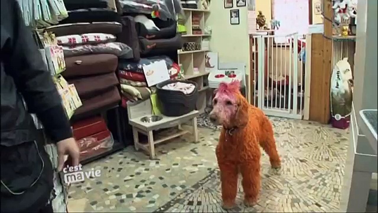 C\'est ma vie - Apprendre à être fier de soi
