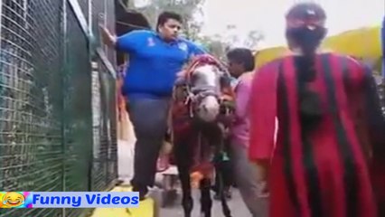 funny fat boy try to ride on horse