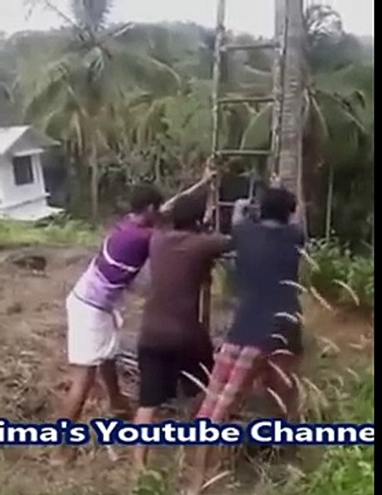 Latest Indian Funny Videos Compilation 2015 - Indian Whatsapp Videos - Videos De Risa 2016 -