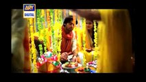 Chitta Kukkar Banere Te by Mustafa Zahid & Haroon Shahid (Pakistani couples vm)