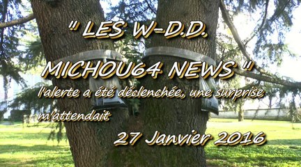 LES W-D.D. MICHOU NEWS - 27 JANVIER 2016 - PAU - INSTALLATION DE PIÈGES CONTRE LES CHENILLES