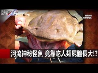 北極上空美麗貝母雲 氣候異常的哀愁!? 黃創夏 朱學恒   20151216-9 關鍵時刻