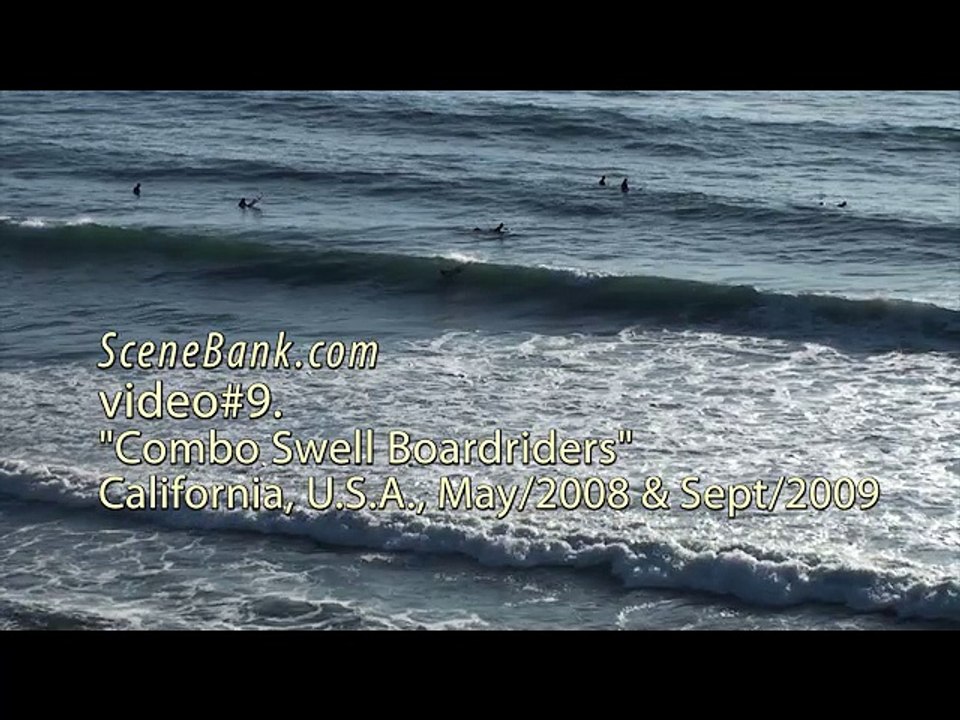 Combo Swell Boardriders - surfing