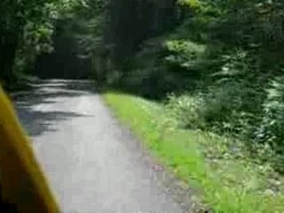Sortie en foret