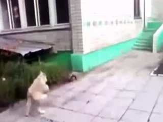 Cosas que me pasan en mi vida lobuna