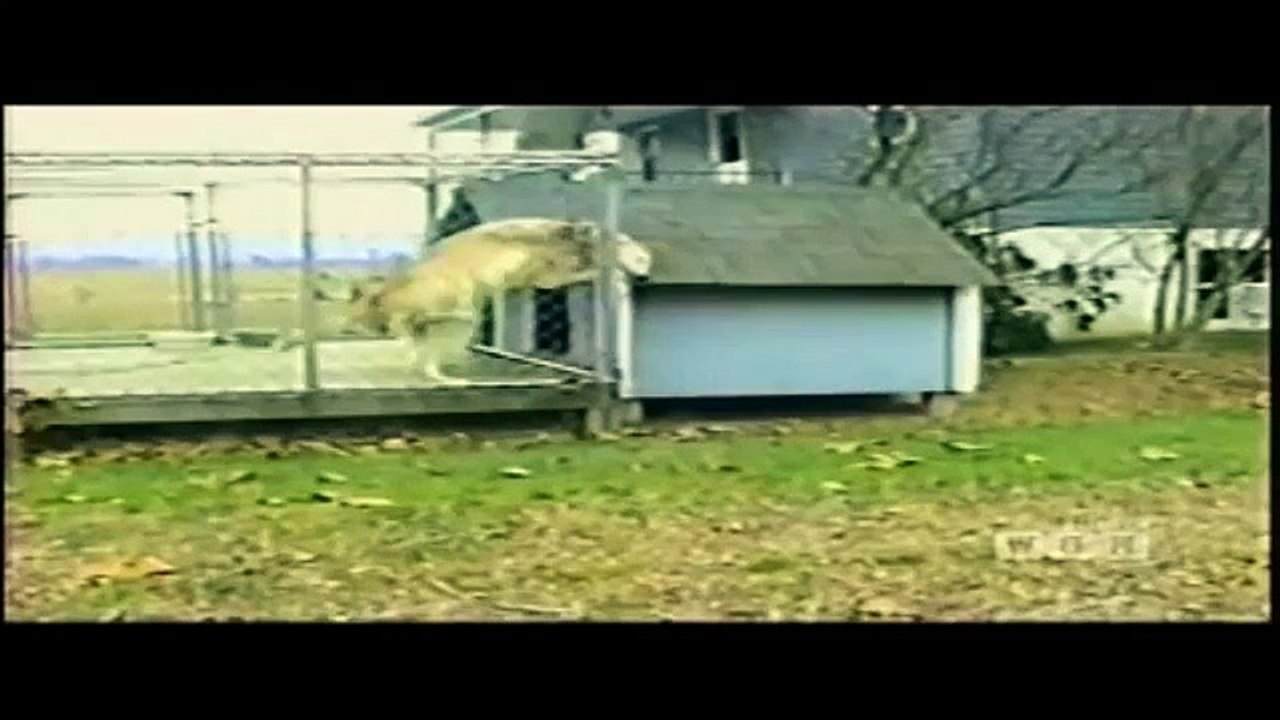 Americas Funniest Home Videos 2012 (Funny Videos Montage Compilation)