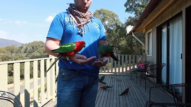 Elle filme son mari et ses filles sur le balcon, mais ce qui se passe quelques secondes après est extraordinaire