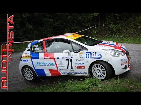 Peugeot Italia Sport 2014 - Ruote in Pista n. 2232