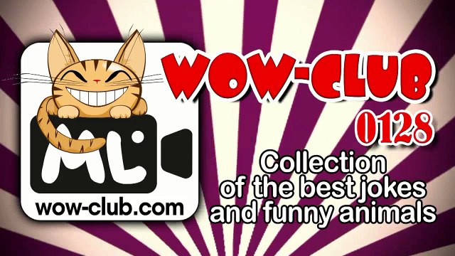 The Best Jokes and Funny Animals. Compilation WOW-club #0128