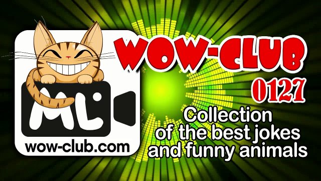 The Best Jokes and Funny Animals. Compilation WOW-club #0127