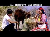 Sadhai Herxu Ma Timro Gau Tira | Ajay Thapa & Radhika Hamal | Dhital Films