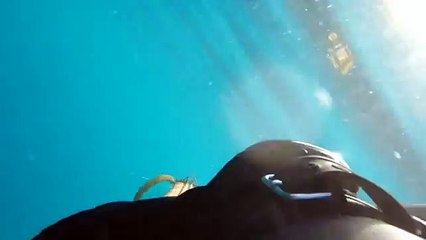 SPEARFISHING BIG TUNA 104 KG with Roller Gun STILO EXPRESS 115 by GIANNI RITROVATO