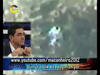 Extraterrestre Alien real filmado em floresta  strange creature real footage