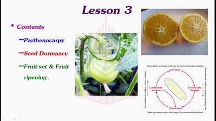 Parthenocarpy  & Seed Dormancy