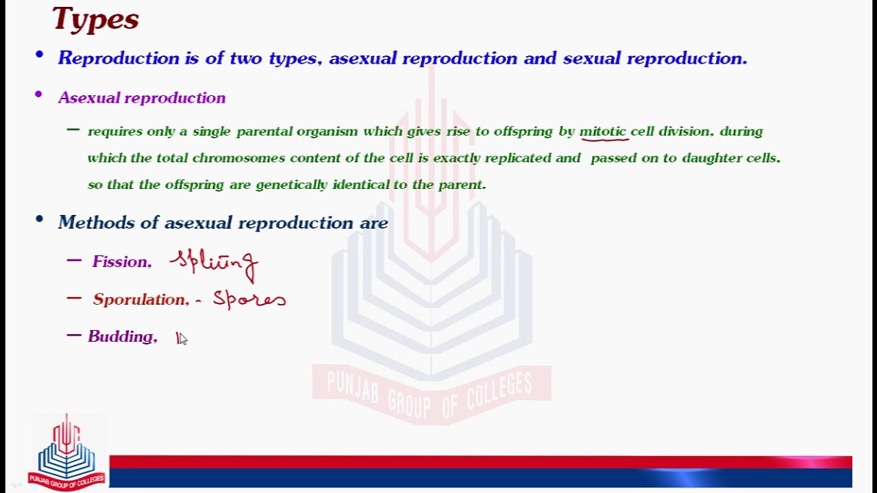 Reproduction & its  Types  (Asexual  Reproduction) , Methods of  Asexual  Reproduction