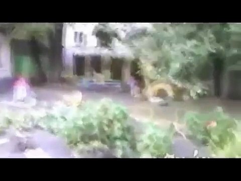 Кот притварился мертвым чтобы его не трогала собака ПРИКОЛ