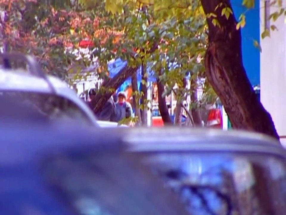 Брачное чтиво 5 сезон 13 серия ( Компакт диск )
