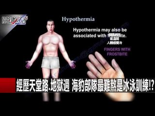變天了!? 莫斯科.哈爾濱一路冷到台灣 北極竟暖如春!? 馬西屏 陳耀寬 朱學恒20160120-4 關鍵時刻