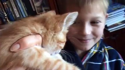 Говорящий матюкливый кот ПРИКОЛ