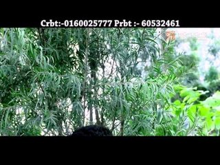 Mutu Jalaudai | Nepali Lok Dohari Song | Sarita Thapa | Superhit Music