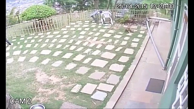 (MUST WATCH) Nepal EarthQuake CCTV FOOTAGE : April 25, 2015 - Powerful 7.5 Magnitude Killed 3500 Historical Earthquakes