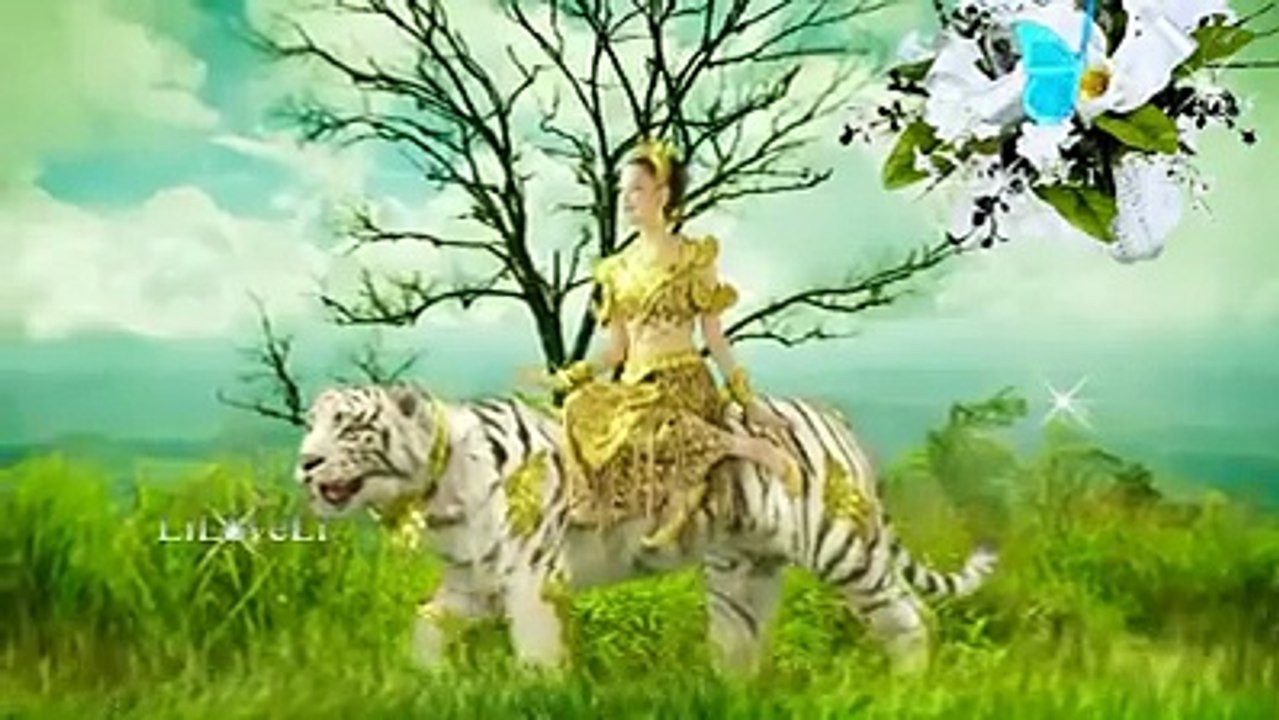 Folk Tale Of The Born Years | Animals Stand For  The Born Years