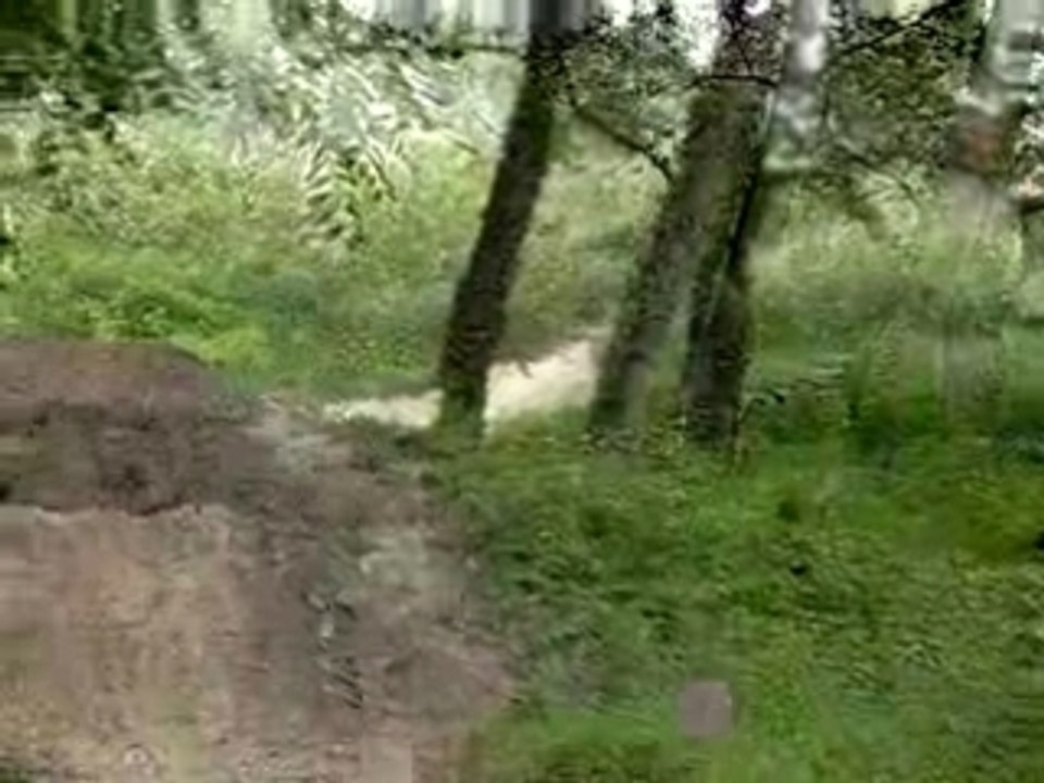guillame a u champ de bosse 84