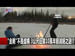 "金剛"不是虛構 3公尺巨猿10萬年前滅絕之謎!? 黃創夏 朱學恒 劉燦榮20160107-2 關鍵時刻