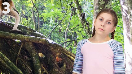 Lemur Facts that Will Make You Move it! Move it!