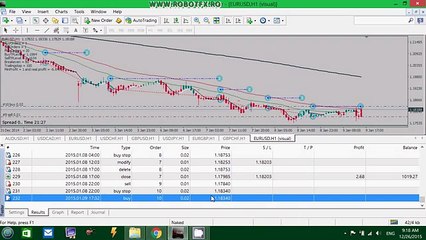 RobotFX Fluid - HedgeFluid (settings)