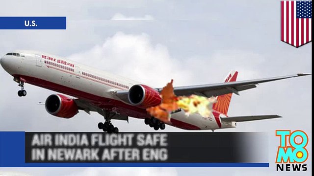 Bird strike? Pilot avoids plane accident by landing jet with one engine after other catches fire Big Planes