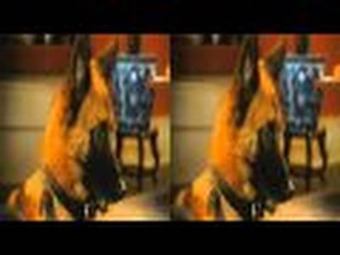 Cats & Dogs: The Revenge of Kitty Galore - Cani e Gatti: La Rivincita di Kitty - Trailer II